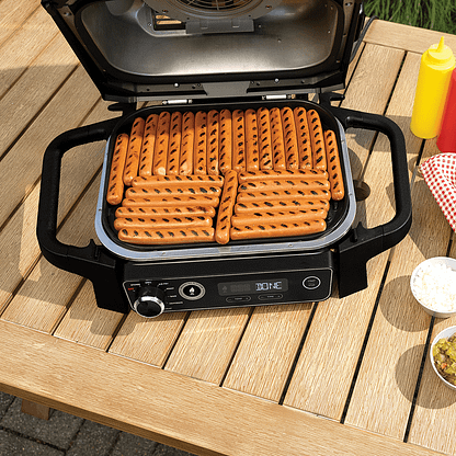 Woodfire Electric BBQ Grill & Smoker – GREY