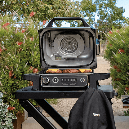 Woodfire Electric BBQ Grill & Smoker – GREY