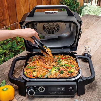 Woodfire Electric BBQ Grill & Smoker – GREY